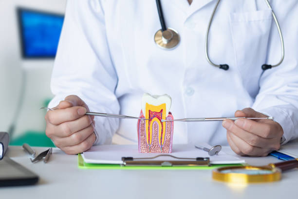 Best Emergency Dental Extractions in Friona, TX